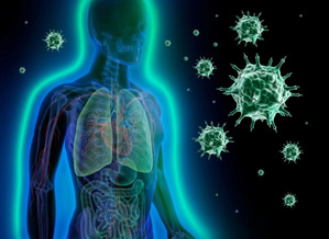 Le Maroc premier au World Immunity Index 2026 grâce à son mode de vie et son climat Le Maroc premier au World Immunity Index 2026 grâce à son mode de vie et son climat