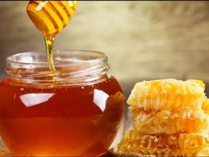 Miel marocain : entre moteur économique et défis d’exportation