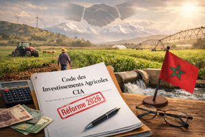 Le futur Code des investissements agricoles (CIA) sera-t-il la nouvelle charte du développement agricole marocain ? Le futur Code des investissements agricoles (CIA) sera-t-il la nouvelle charte du développement agricole marocain ?