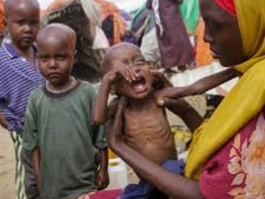 Crise alimentaire : la Somalie face à une famine imminente Crise alimentaire : la Somalie face à une famine imminente