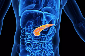 Avancée médicale : des cellules souches créent un pancréas autonome prometteur Avancée médicale : des cellules souches créent un pancréas autonome prometteur