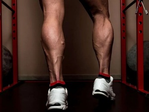 Le mollet, “deuxième cœur”: un acteur clé de la longévité