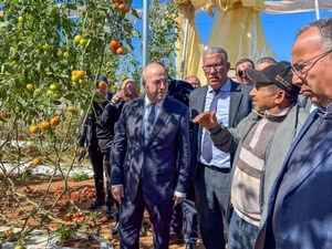 Chtouka Aït Baha : 1.500 hectares de serres agricoles touchés par des vents violents Chtouka Aït Baha : 1.500 hectares de serres agricoles touchés par des vents violents