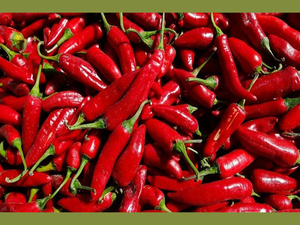 Agriculture : Le Maroc exporte 181 440 tonnes de piments vers l'UE