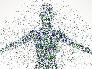 Métabolisme : mythe du “rapide ou lent” et vraies clés de la dépense énergétique Métabolisme : mythe du “rapide ou lent” et vraies clés de la dépense énergétique