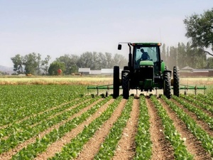 Entrepreneuriat rural