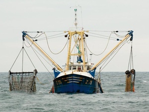 Pêche continentale : le Maroc impose l’immatriculation des embarcations Pêche continentale : le Maroc impose l’immatriculation des embarcations