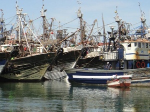 Dakhla investit 17,75 MMDH pour développer l’industrie des produits de la mer