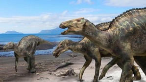 Le Maroc fait revivre un dinosaure vieux de 100 millions d’années à Tendrara !