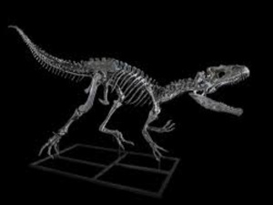Tendrara : un dinosaure préhistorique reconstitué Tendrara : un dinosaure préhistorique reconstitué