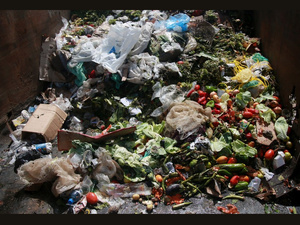 Le grand gâchis : Quand les Marocains jettent leur souveraineté alimentaire à la poubelle