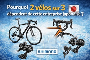 Pourquoi 2 vélos sur 3 dépendent de cette entreprise japonaise ?