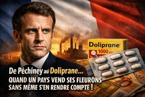 La France.. Quand un pays vend ses fleurons sans même s'en rendre compte ! La France.. Quand un pays vend ses fleurons sans même s'en rendre compte !