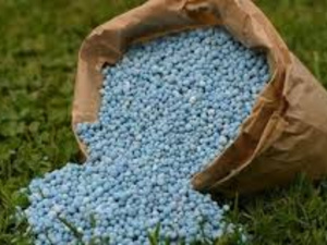 Engrais : le Maroc au cœur de la sécurité alimentaire