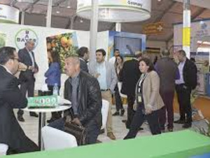 Agriculture nord-africaine : Bayer innove Agriculture nord-africaine : Bayer innove