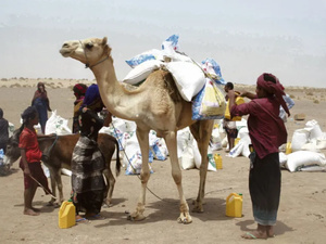 Guerre au Moyen-Orient : la FAO alerte sur un choc alimentaire mondial imminent