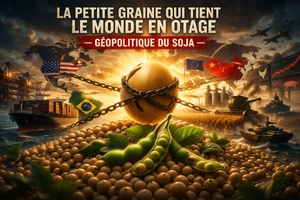 ​La petite graine qui tient le monde en otage ou la géopolitique du soja