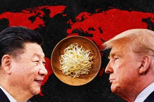 ​La petite graine qui tient le monde en otage ou la géopolitique du soja