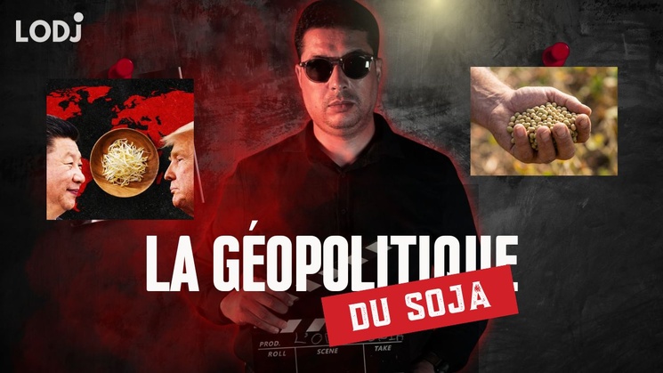 [vidéo] : ​La petite graine qui tient le monde en otage ou la géopolitique du soja