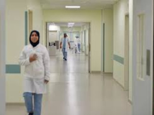 One Health : le Maroc sur la scène internationale One Health : le Maroc sur la scène internationale