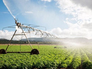 Recherche agricole : l’État mise sur l’innovation pour l’eau et le climat