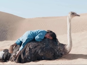 « L’Enfant du désert » : première européenne et sortie en salles au Maroc