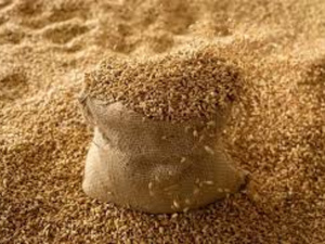 90 millions de quintaux en perspective