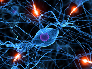 Maladie de Parkinson : une découverte sur le microbiote intestinal ouvre la voie à un diagnostic révolutionnaire. Maladie de Parkinson : une découverte sur le microbiote intestinal ouvre la voie à un diagnostic révolutionnaire.