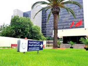 Agriculture : Le virage digital d’Al Moutmir