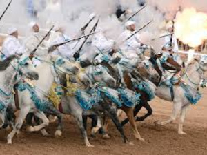 Le cheval au cœur du SIEL