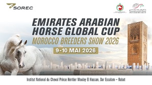 ​Rabat accueille le « Morocco Breeders Show – EAHGC 2026 »