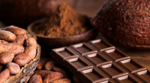 Chocolat au lait et cholestérol : pourquoi le chocolat noir reste le meilleur choix