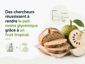 Des chercheurs réussissent à rendre le pain moins glycémique grâce à un fruit tropical. Des chercheurs réussissent à rendre le pain moins glycémique grâce à un fruit tropical.