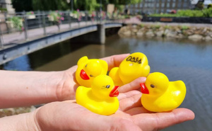 10.000 canards en plastique lancés dans la course la plus improbable de l’année 10.000 canards en plastique lancés dans la course la plus improbable de l’année