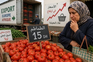 ​Tomate marocaine : quand l’exportation vide le panier de la ménagère