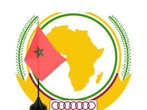 Coopération Sud-Sud : l'offensive économique marocaine à 500 millions de dollars