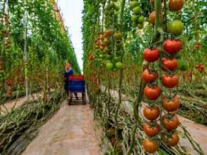 Le PNUD Maroc lance un prix pour le climat Le PNUD Maroc lance un prix pour le climat