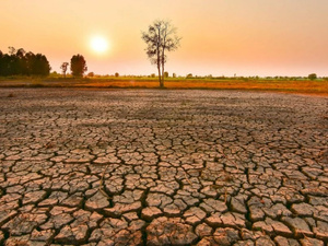 El Niño fait son retour : un épisode potentiellement parmi les plus puissants jamais observés El Niño fait son retour : un épisode potentiellement parmi les plus puissants jamais observés