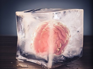 Une start‑up américaine affirme avoir réussi à préserver la structure du cerveau après la mort