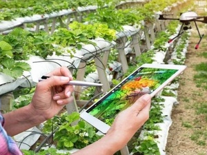 Oriental : l’ONCA mise sur l’accompagnement des agriculteurs pour optimiser l’irrigation localisée Oriental : l’ONCA mise sur l’accompagnement des agriculteurs pour optimiser l’irrigation localisée