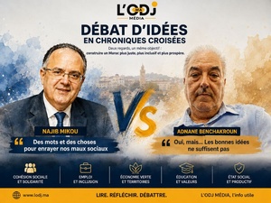 Oui, mais… cher ami Najib Mikou, les bonnes idées ne suffisent pas Oui, mais… cher ami Najib Mikou, les bonnes idées ne suffisent pas