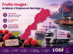 Fruits rouges : le Maroc s’impose en Norvège