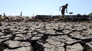 El Niño se renforce : quels risques pour le climat et l’agriculture au Maroc ? El Niño se renforce : quels risques pour le climat et l’agriculture au Maroc ?