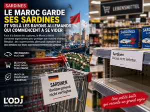 Le Maroc garde ses sardines : et voilà les rayons allemands qui commencent à se vider Le Maroc garde ses sardines : et voilà les rayons allemands qui commencent à se vider