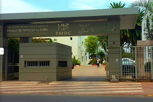CHU Ibn Rochd : les étudiants en médecine dentaire suspendent leurs stages CHU Ibn Rochd : les étudiants en médecine dentaire suspendent leurs stages