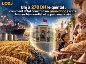 Blé à 270 DH le quintal : comment l'État construit un pare-chocs entre le marché mondial et le pain marocain