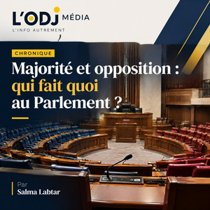 DÉCODAGE | Majorité et opposition : qui fait quoi au Parlement ?