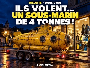 Un sous-marin volé  a été mis en vente sur Leboncoin pour 100 €