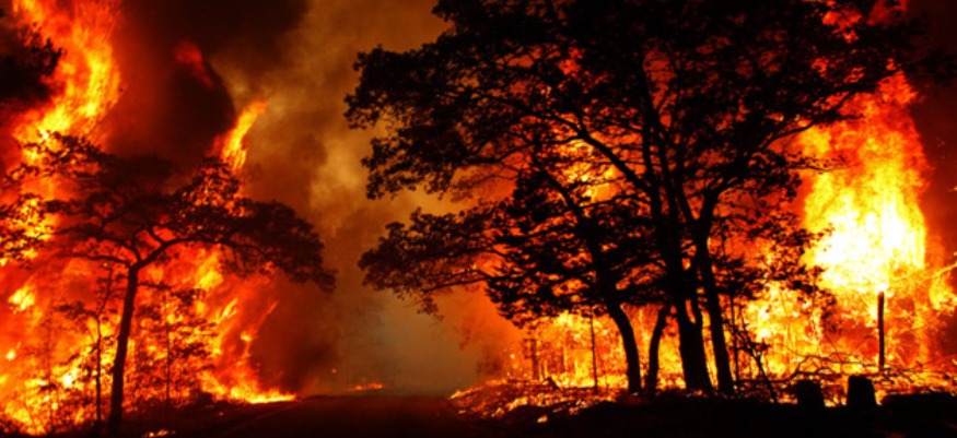 Environnement : neutralisation du plus grand feu de forêt de l'année 