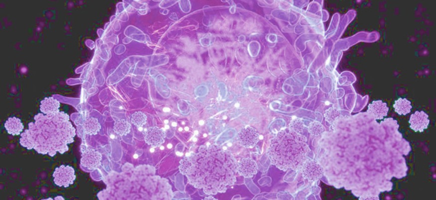 Covid-19 et Maghreb : Un avenir plus collaboratif ?